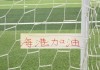 元游棋牌app下载-卫冕冠军海港又多一个国家队破百场球员 之前是张琳芃 现在是武磊|国足|上海海港|上海申花足球俱乐部|塞尔吉尼奥|北京国安_新浪体育_新浪新闻
